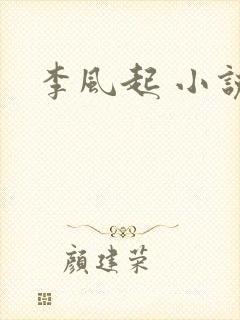 李风起 小说