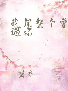 我用整个曾经爱过你