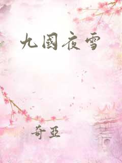 九国夜雪
