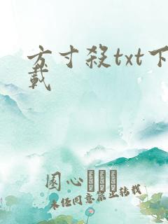 方寸杀txt下载