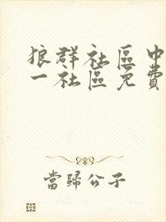 狼群社区中文第一社区免费