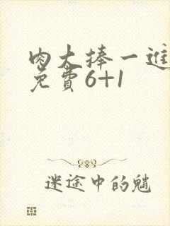 肉大捧一进一出免费6+1