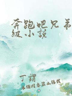 奔跑吧兄弟限制级小说