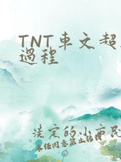 TNT车文超细过程