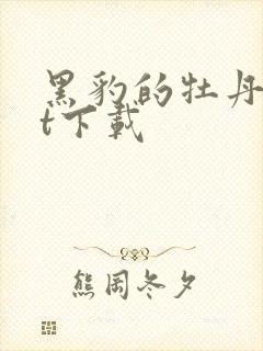 黑豹的牡丹txt下载