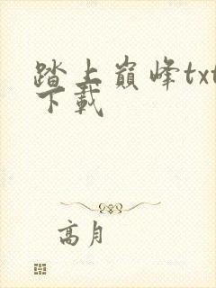 踏上巅峰txt下载