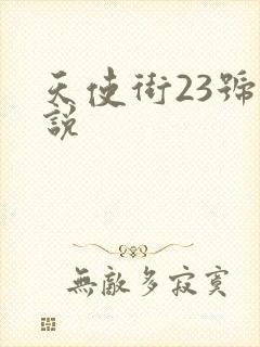 天使街23号小说