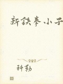 新铁拳小子