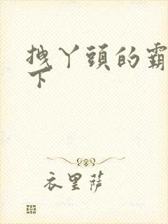 拽丫头的霸道殿下