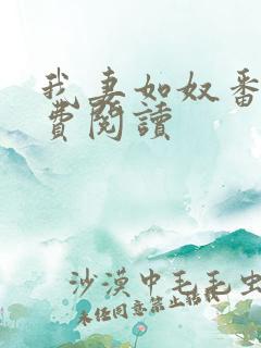 我妻如奴番外免费阅读