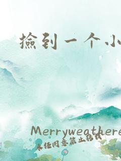 捡到一个小妖精