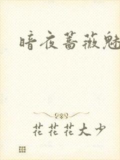 暗夜蔷薇魅