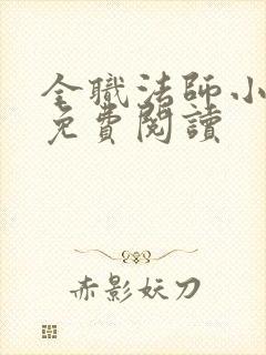 全职法师小说 免费阅读