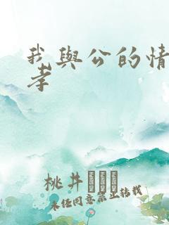 我与公的情乱妻孝