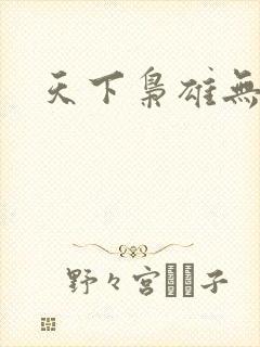 天下枭雄无弹窗