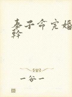 奉子命完婚 高干