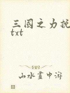 三国之力挽狂澜txt