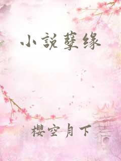 小说孽缘