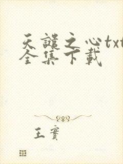 天谴之心txt全集下载