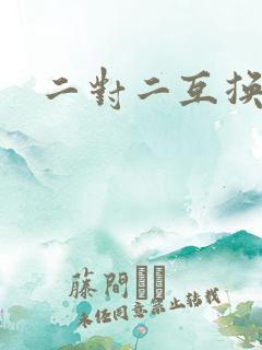 二对二互换共享