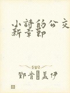 小诗的公交车最新章节