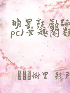 明星鼓励师(npc)笔趣阁类似