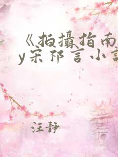 《拍摄指南》by宋祁言小说