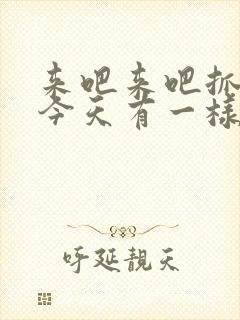 来吧来吧抓紧点今天有一样好东西