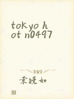 tokyo hot n0497