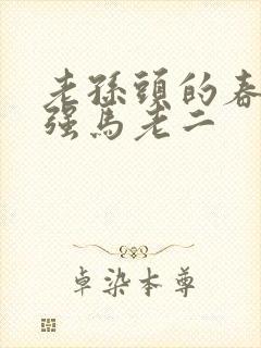 老孙头的春天马强马老二