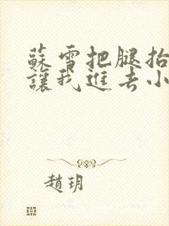 苏雪把腿抬起来让我进去小说