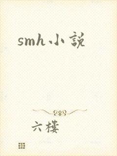 smh小说