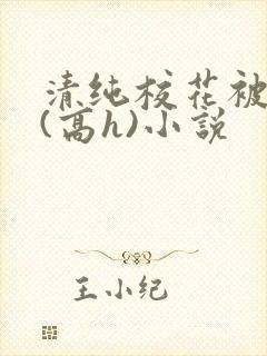 清纯校花被调教(高h)小说