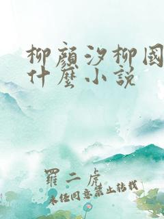 柳颜汐柳国安是什么小说