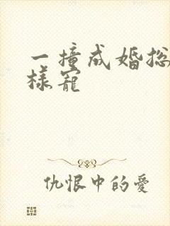 一撞成婚总裁花样宠