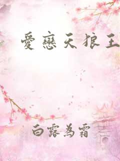 爱恋天狼王子