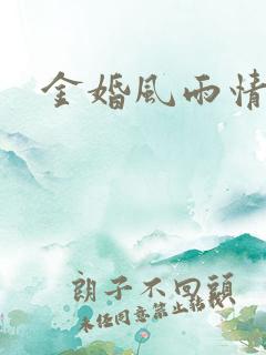 金婚风雨情下载