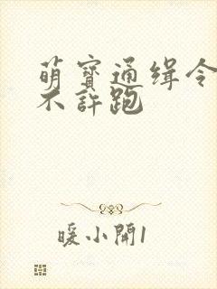 萌宝通缉令妈味不许跑