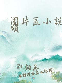 图片区小说区视频