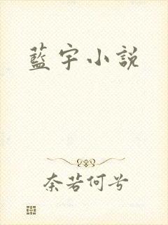 蓝宇小说