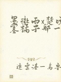 墨微雨x楚晚宁塞橘子哪一章