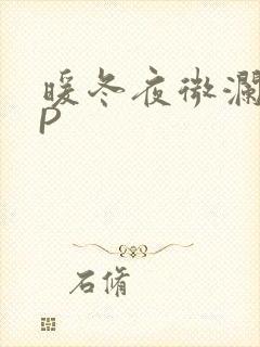 暖冬夜微澜VIP