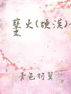 孽火(硬汉)今又