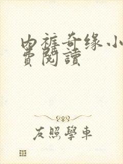 内裤奇缘小说免费阅读