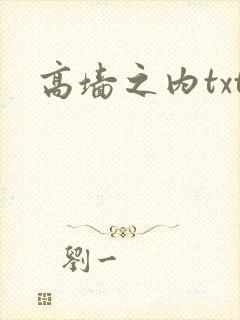 高墙之内txt