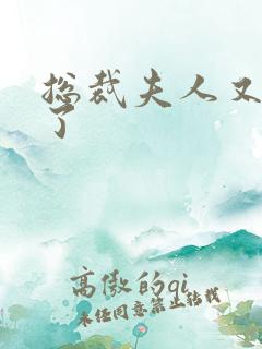 总裁夫人又征婚了