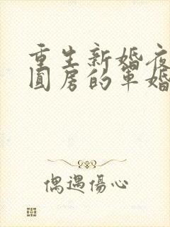 重生新婚夜正在圆房的军婚