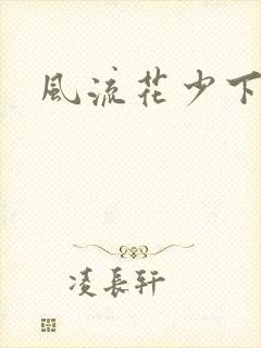 风流花少下载