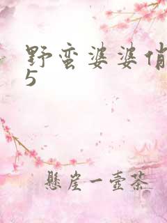 野蛮婆婆俏媳妇5