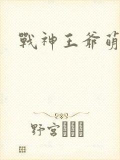 战神王爷萌虎妃